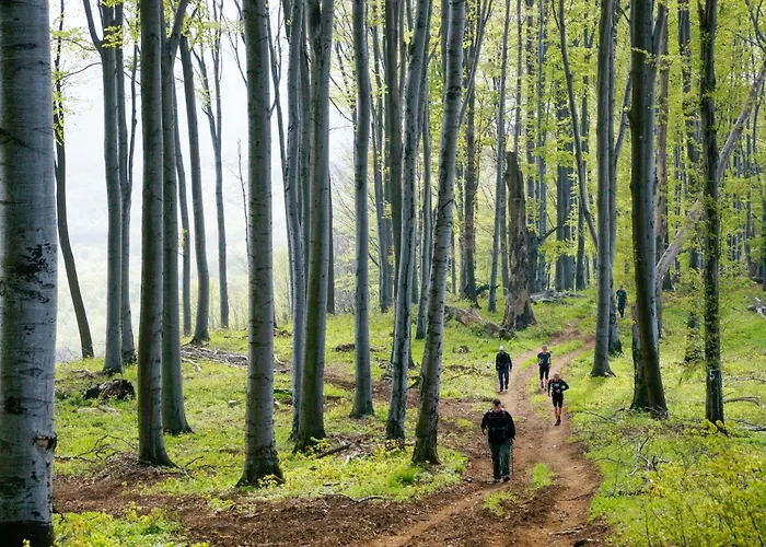 Pataklak Matra בית נופש